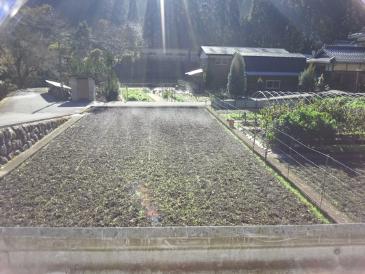 「白梅橋」停留所近くの畑。霜が急激に蒸発して、水蒸気が上がっています。街中ではなかなか見られない光景ですね…(^_^)v