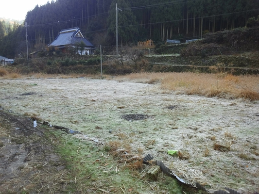 「雲ケ畑学校前」停留所近くの休耕地。山影に隠れているところはまだ霜が下りたままでした。。。