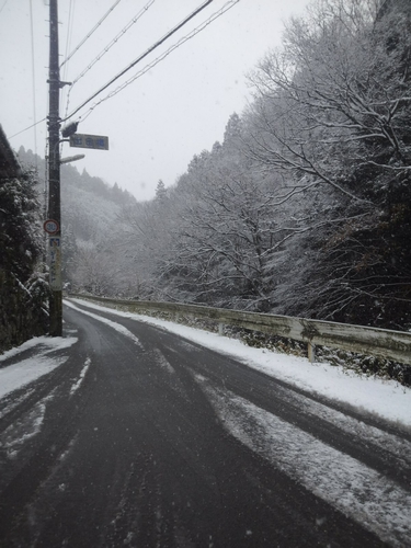 午後2時半頃でしたが、気温は3℃。樹木も白く染まっていました…(~o~)