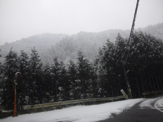 早朝、10㎝ほどの積雪があった雲ケ畑。午後には道路上の雪はほとんどなくなっていましたが…、山深くなるにつれ、雪がまだまだ残っていました。画像はおおまがり停留所(^_^)v