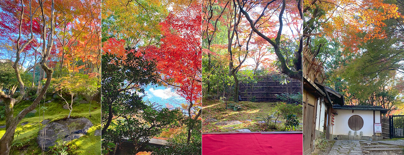 高台寺 塔頭 岡林院