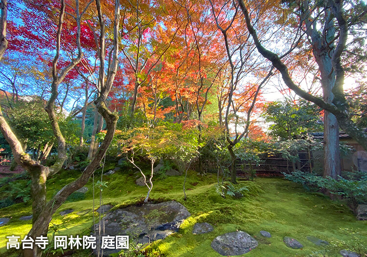 高台寺 塔頭 岡林院