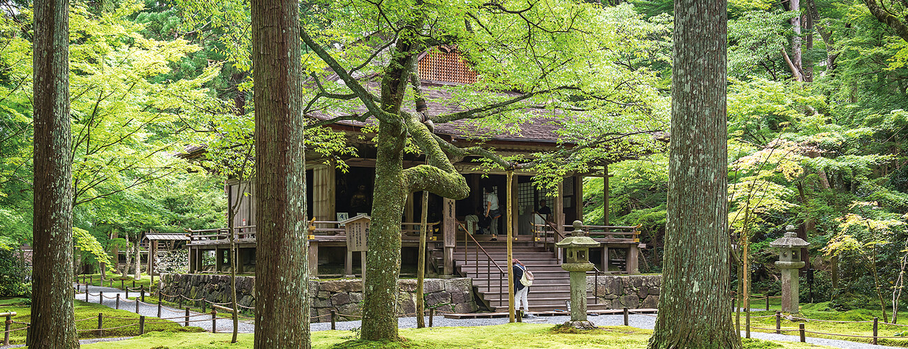  錦秋の大原の里 三千院・宝泉院