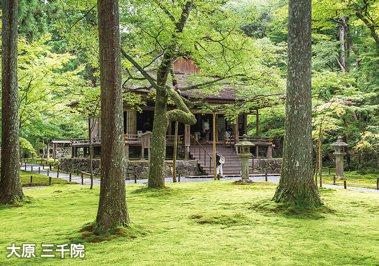 曼殊院門跡