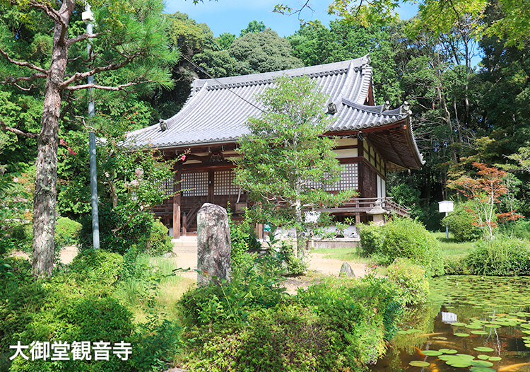 大御堂観音寺①