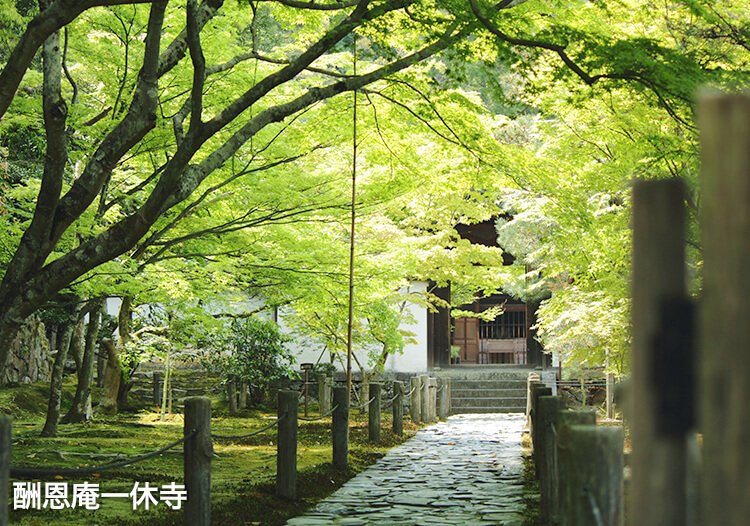 酬恩庵（一休寺）②