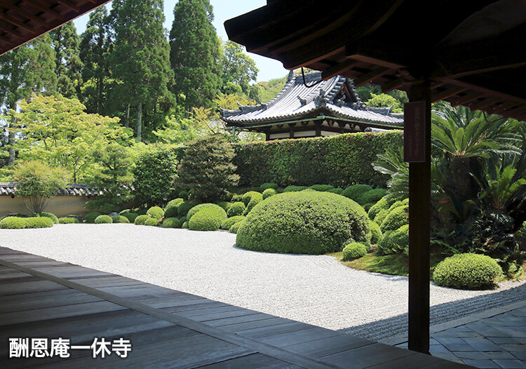 酬恩庵（一休寺）③