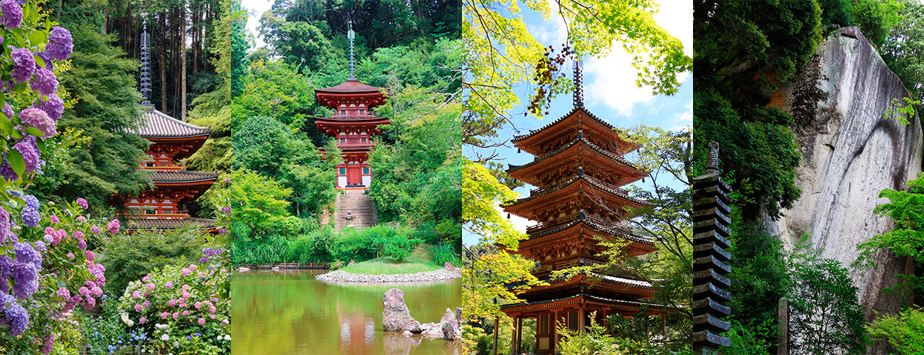 南山城の古寺巡礼