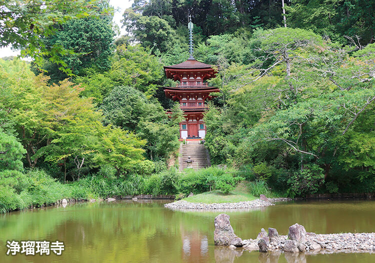 浄瑠璃寺①