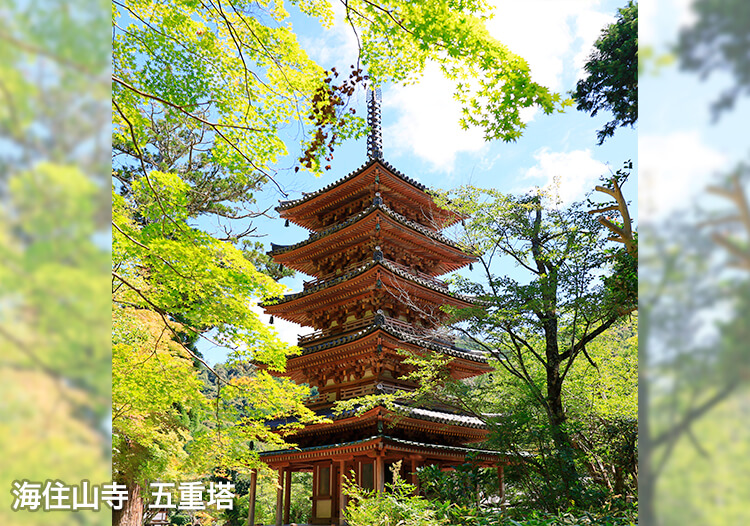 海住山寺②