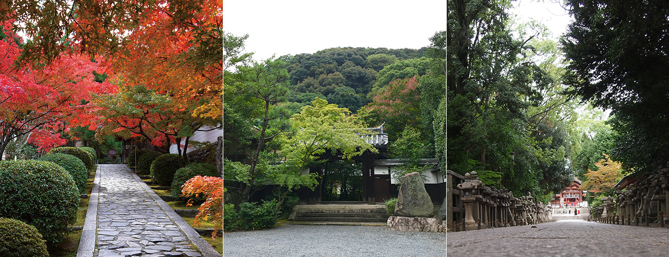  酬恩庵一休寺・善法律寺・石清水八幡宮