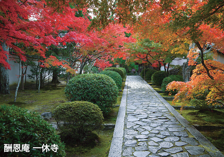 善法律寺