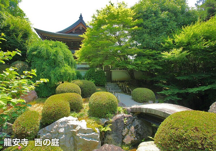 龍安寺 西の庭